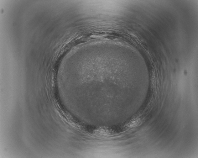 X0000057080211200509231632