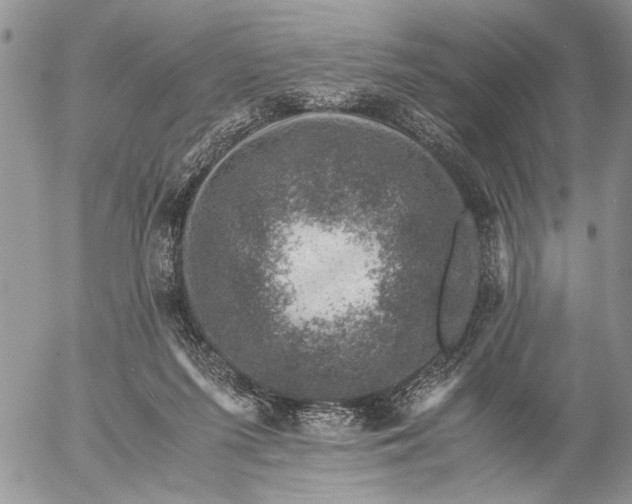 X0000057080215200509231632