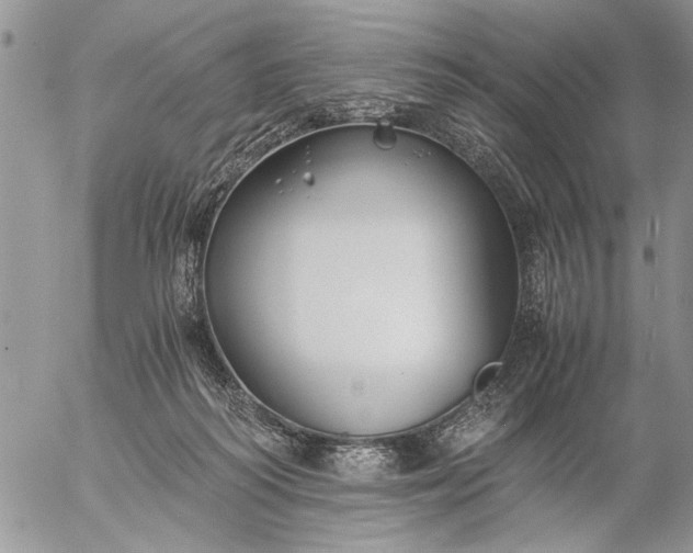 X0000057080218200509231632