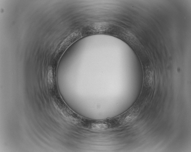 X0000057080220200509231632