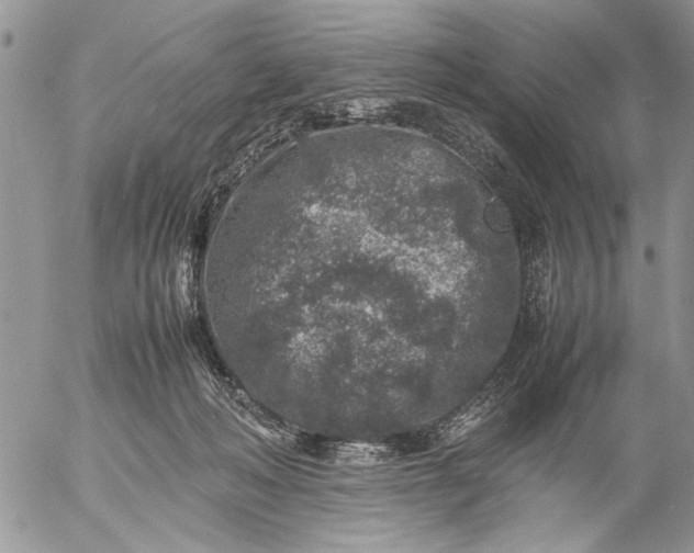 X0000057080222200509231632