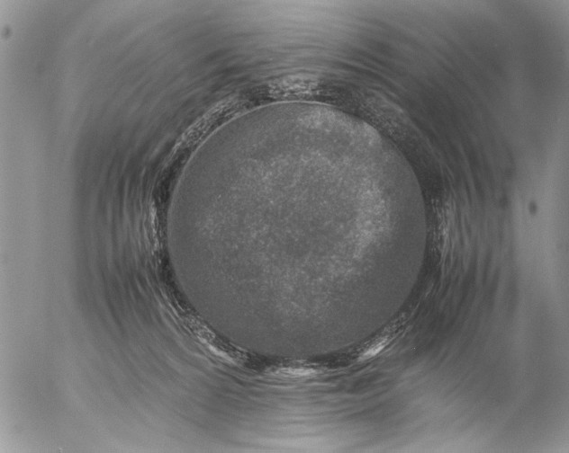 X0000057080224200509231632