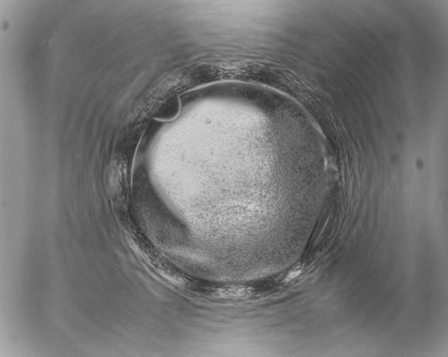 X0000057080225200509231632