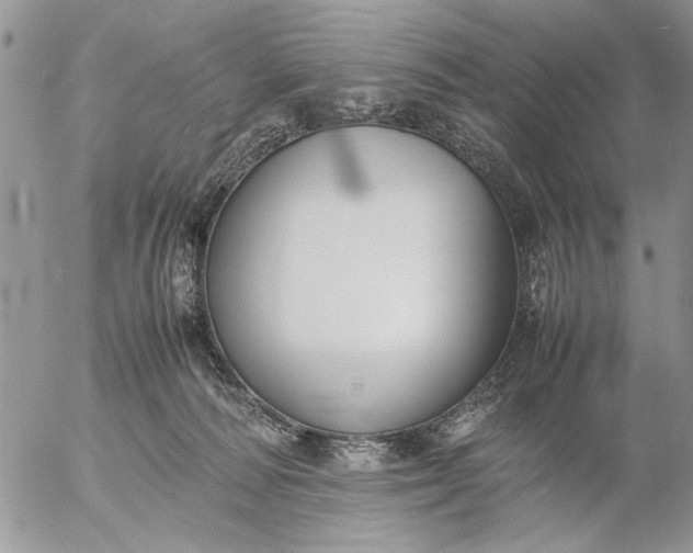 X0000057080226200509231632