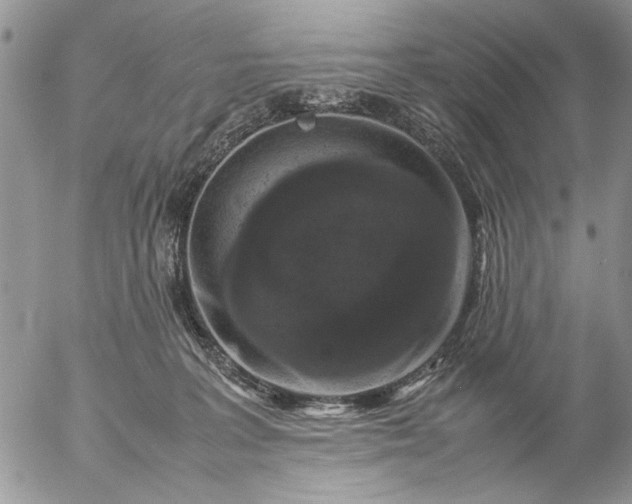 X0000057080227200509231632