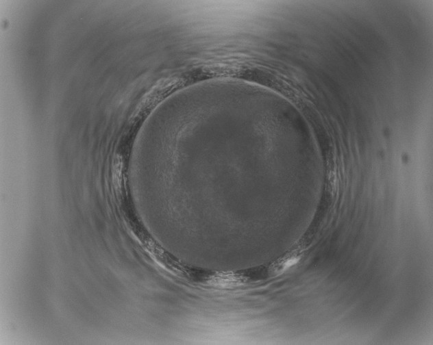 X0000057080231200509231632