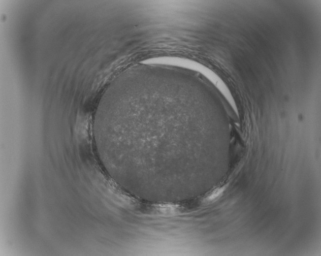 X0000057080233200509231632