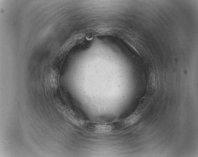 X0000057080234200509231632