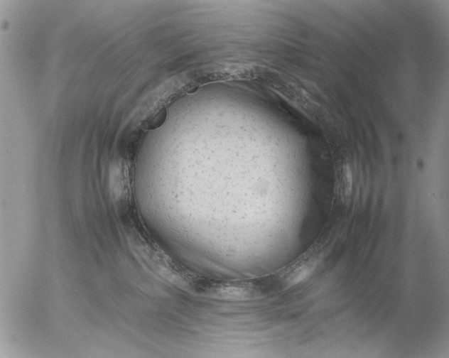 X0000057080236200509231632