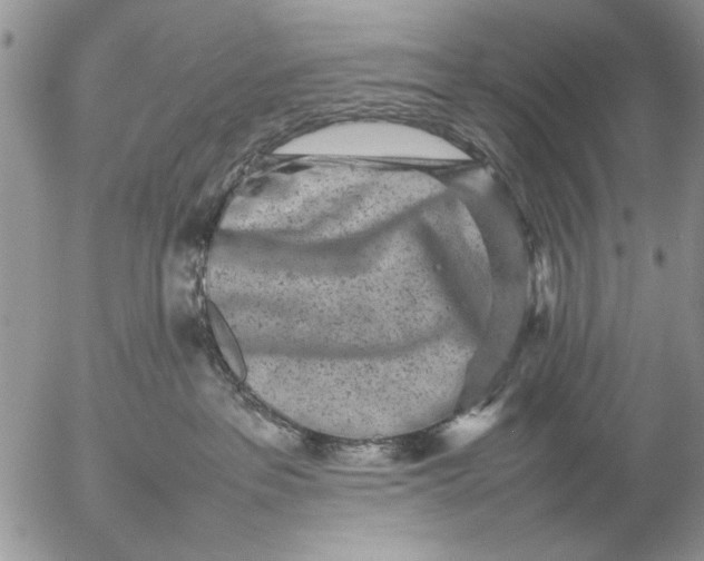 X0000057080237200509231632