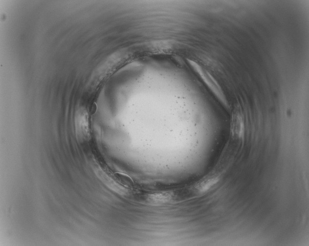 X0000057080238200509231632