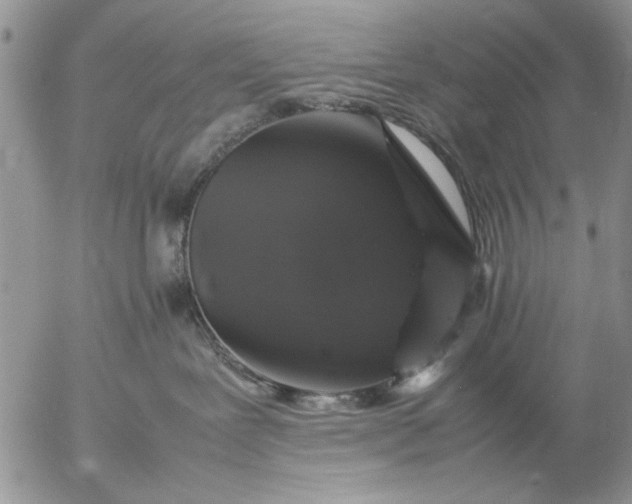 X0000057080239200509231632