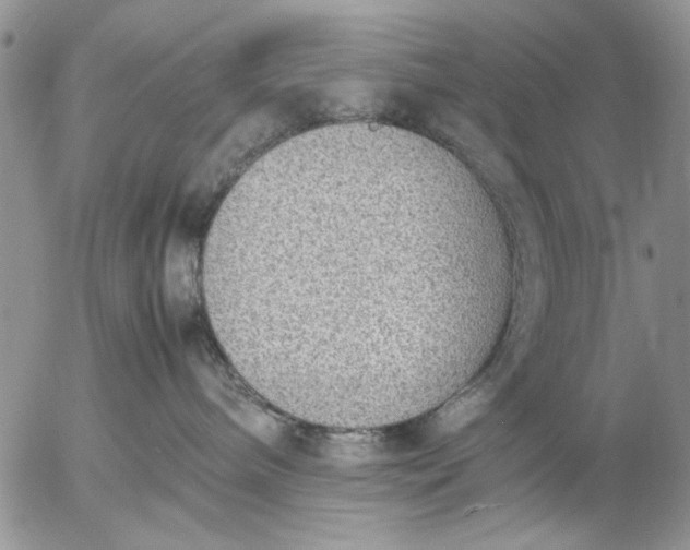 X0000057080240200509231632