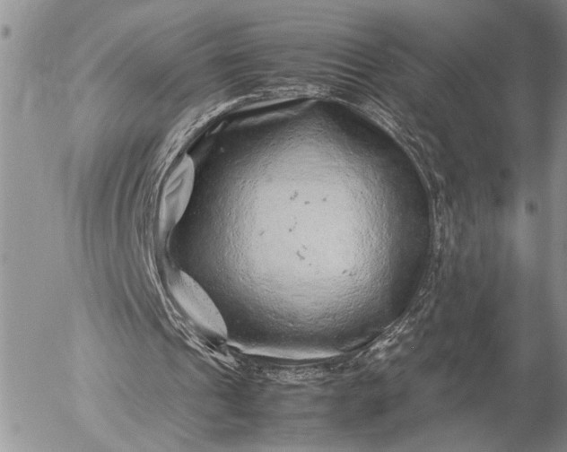 X0000057080241200509231631