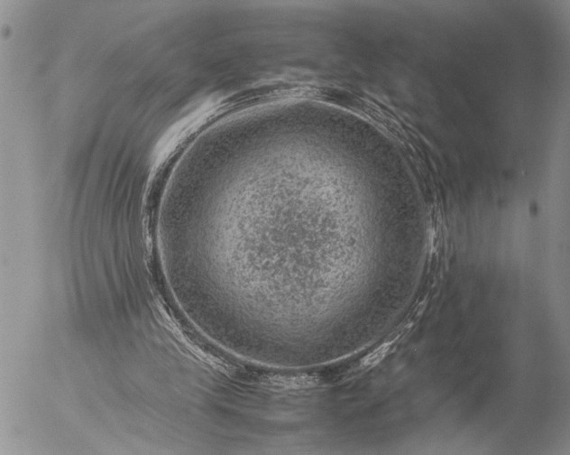 X0000057080245200509231631