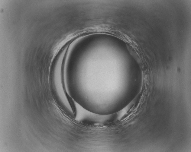 X0000057080248200509231631