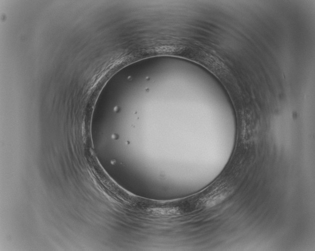 X0000057080251200509231631