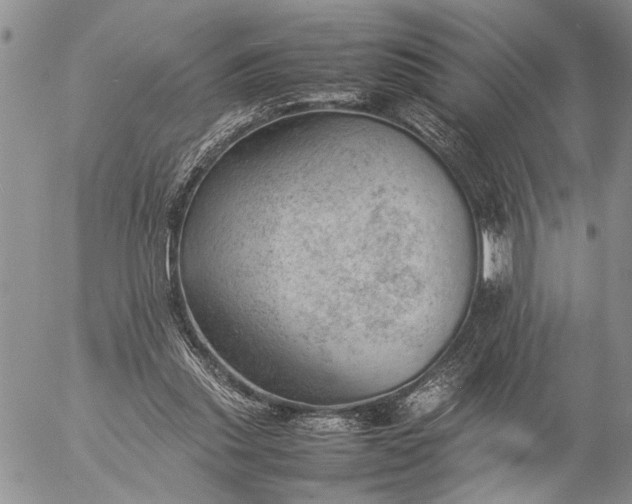 X0000057080253200509231631