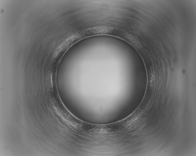 X0000057080254200509231631