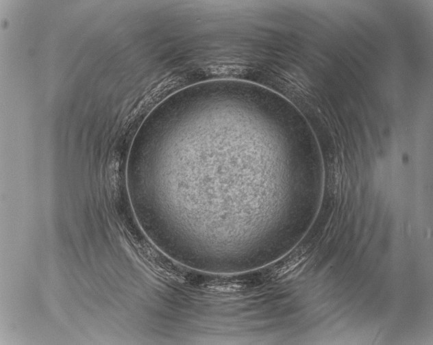 X0000057080263200509231631