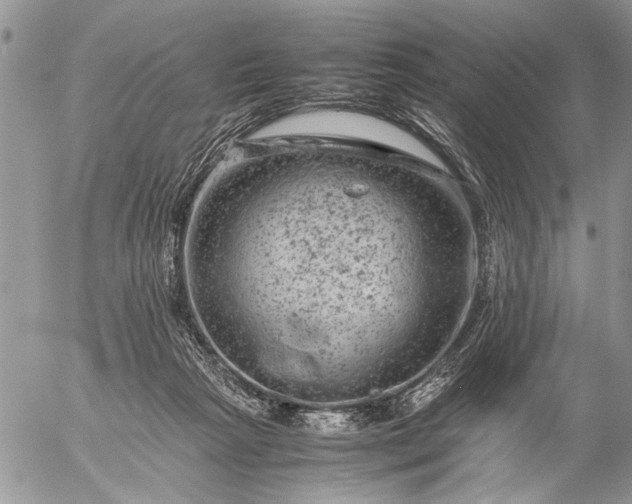 X0000057080265200509231631