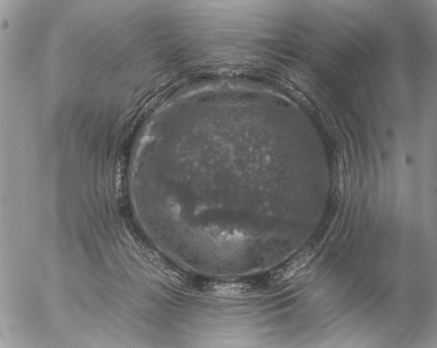 X0000057080268200509231631