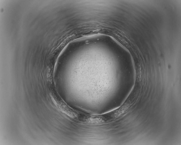 X0000057080270200509231631