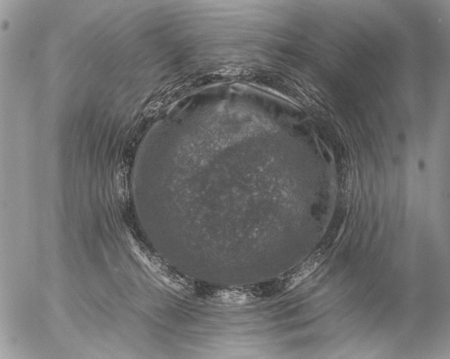 X0000057080272200509231632