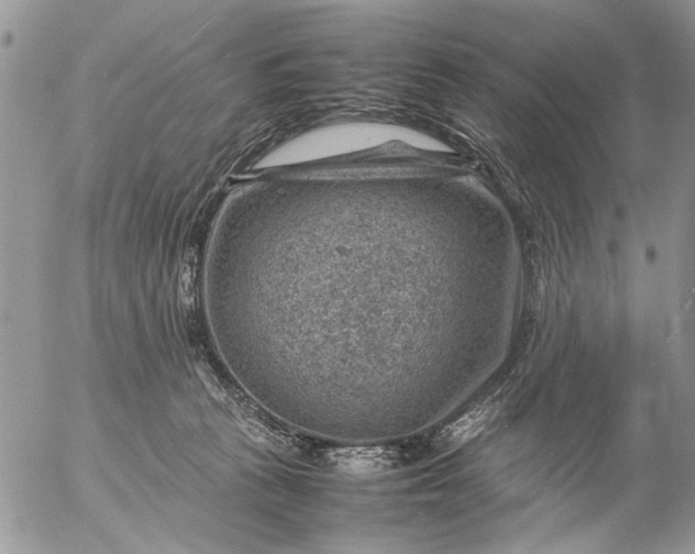 X0000057080273200509231632