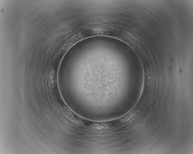 X0000057080275200509231632