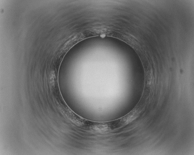 X0000057080279200509231632