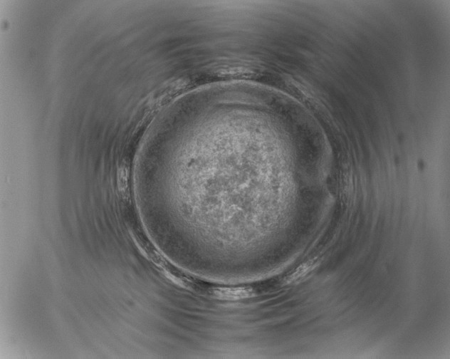 X0000057080281200509231632