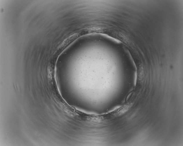 X0000057080282200509231632