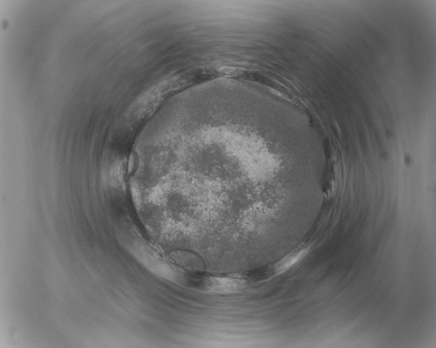 X0000057080286200509231632