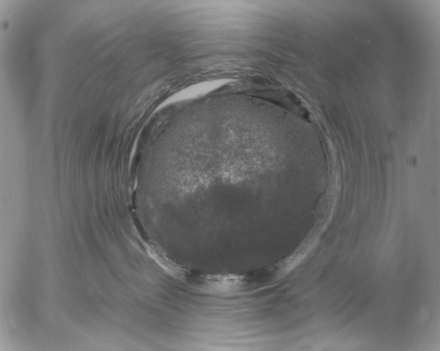 X0000057080288200509231632