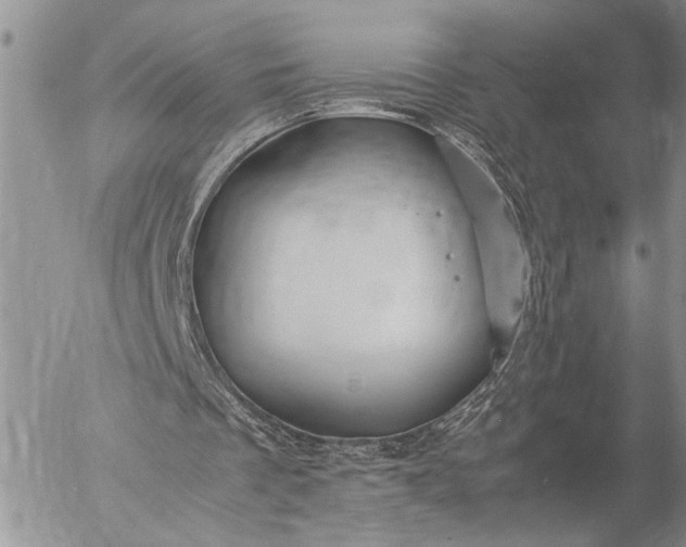 X0000057080289200509231631