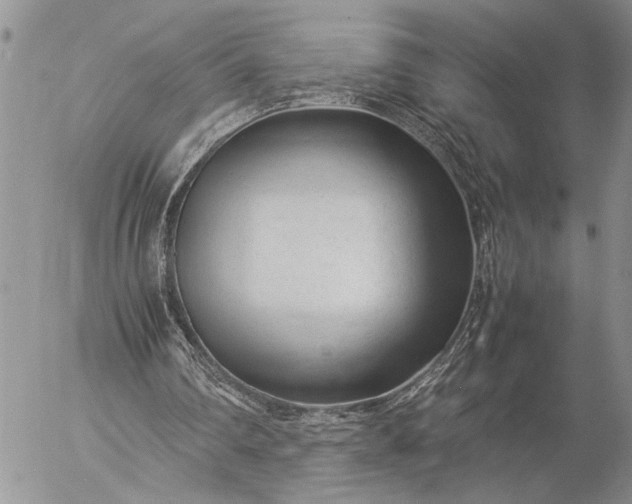 X0000057080290200509231631