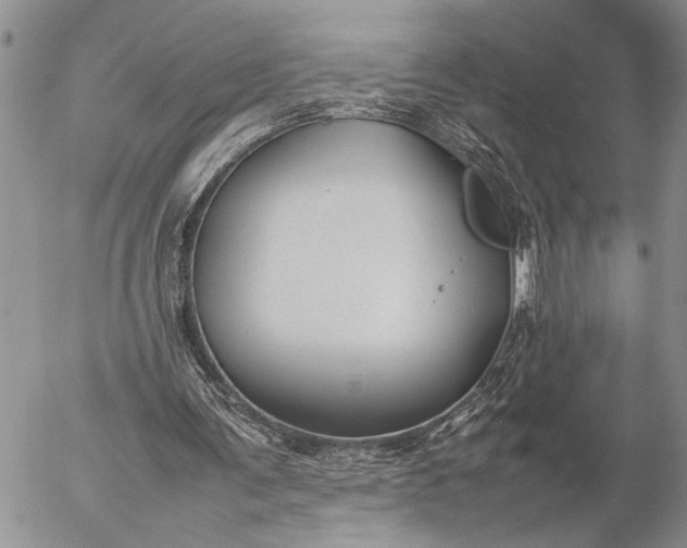 X0000057080291200509231631