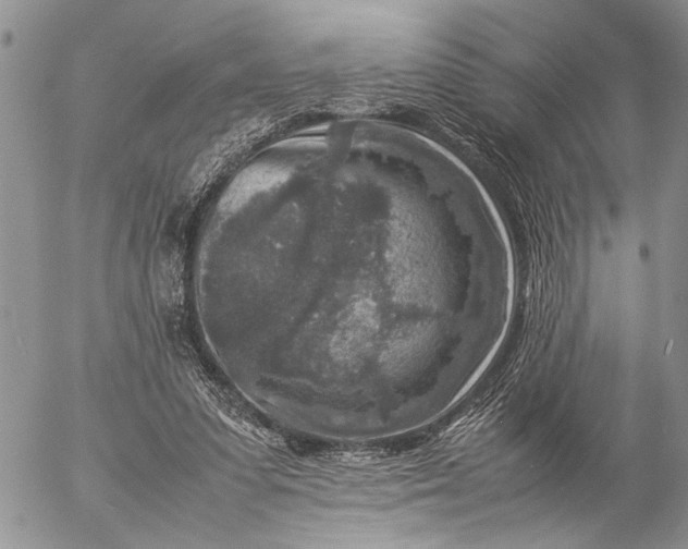 X0000057080303200509231631