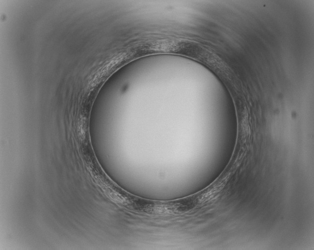 X0000057080305200509231631