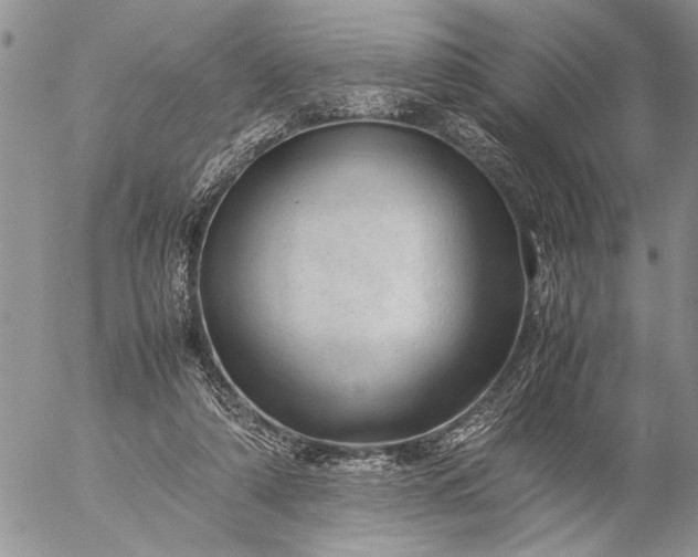 X0000057080306200509231631