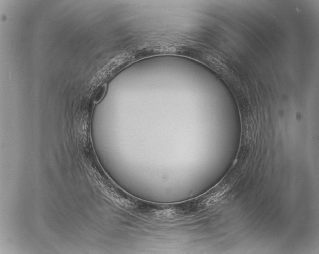 X0000057080309200509231631