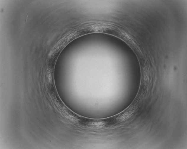 X0000057080313200509231631