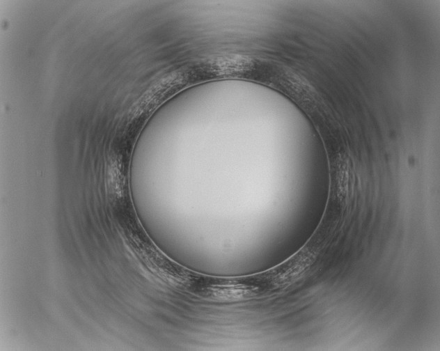 X0000057080316200509231631