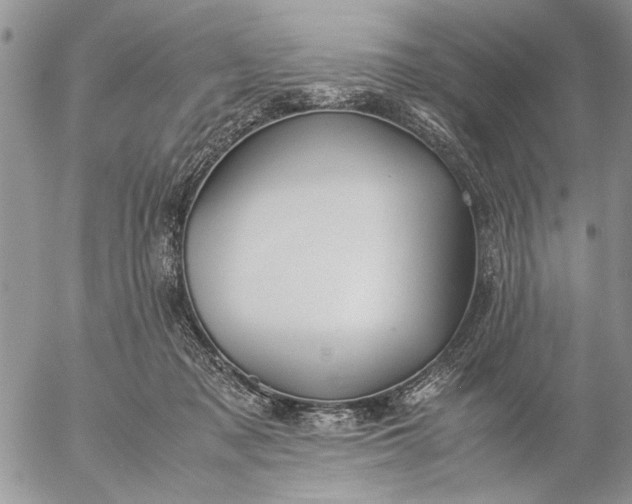 X0000057080317200509231630