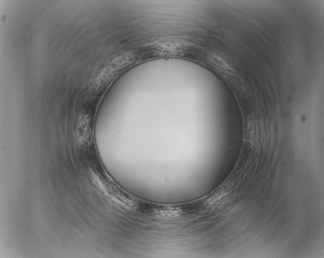 X0000057080318200509231630