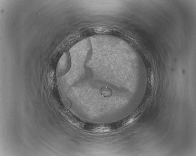 X0000057080319200509231630