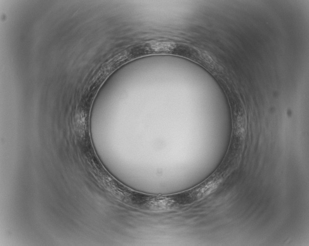 X0000057080321200509231630