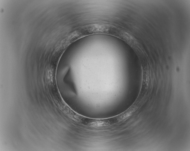 X0000057080326200509231630