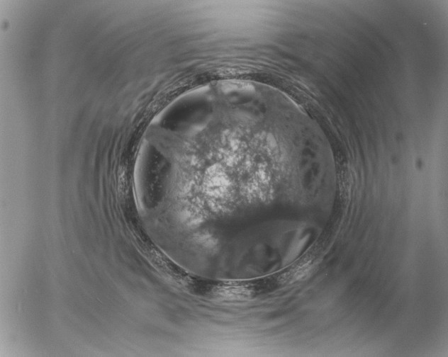 X0000057080327200509231630